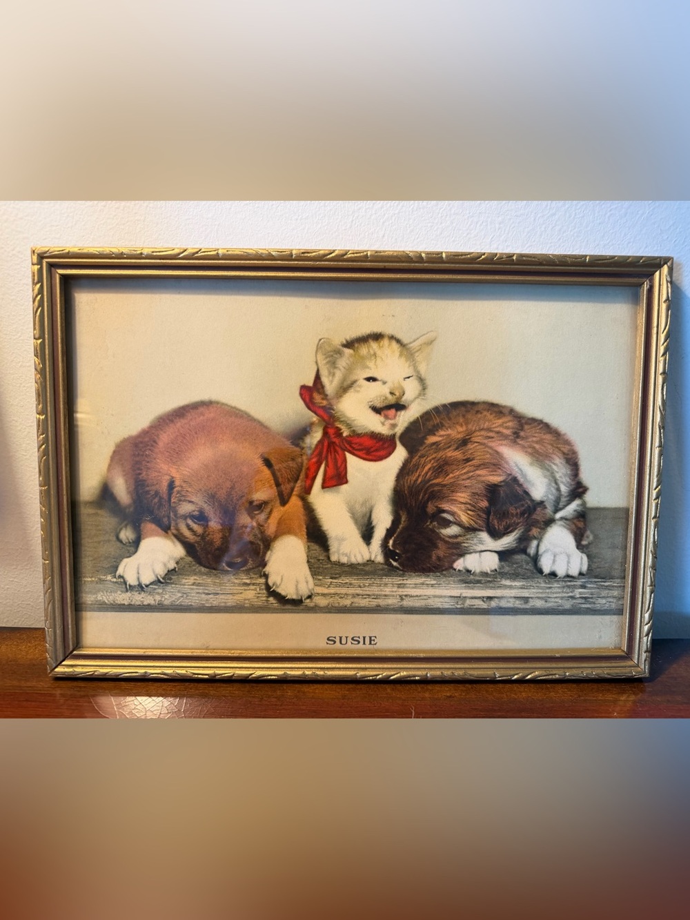 Vintage Framed Print 'Susie' Kitten with Puppies - Gold Frame